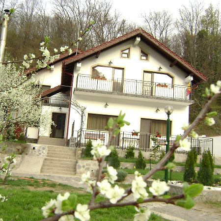 Pension Casa Natura Băile Herculane Extérieur photo