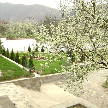 Pension Casa Natura Băile Herculane Extérieur photo