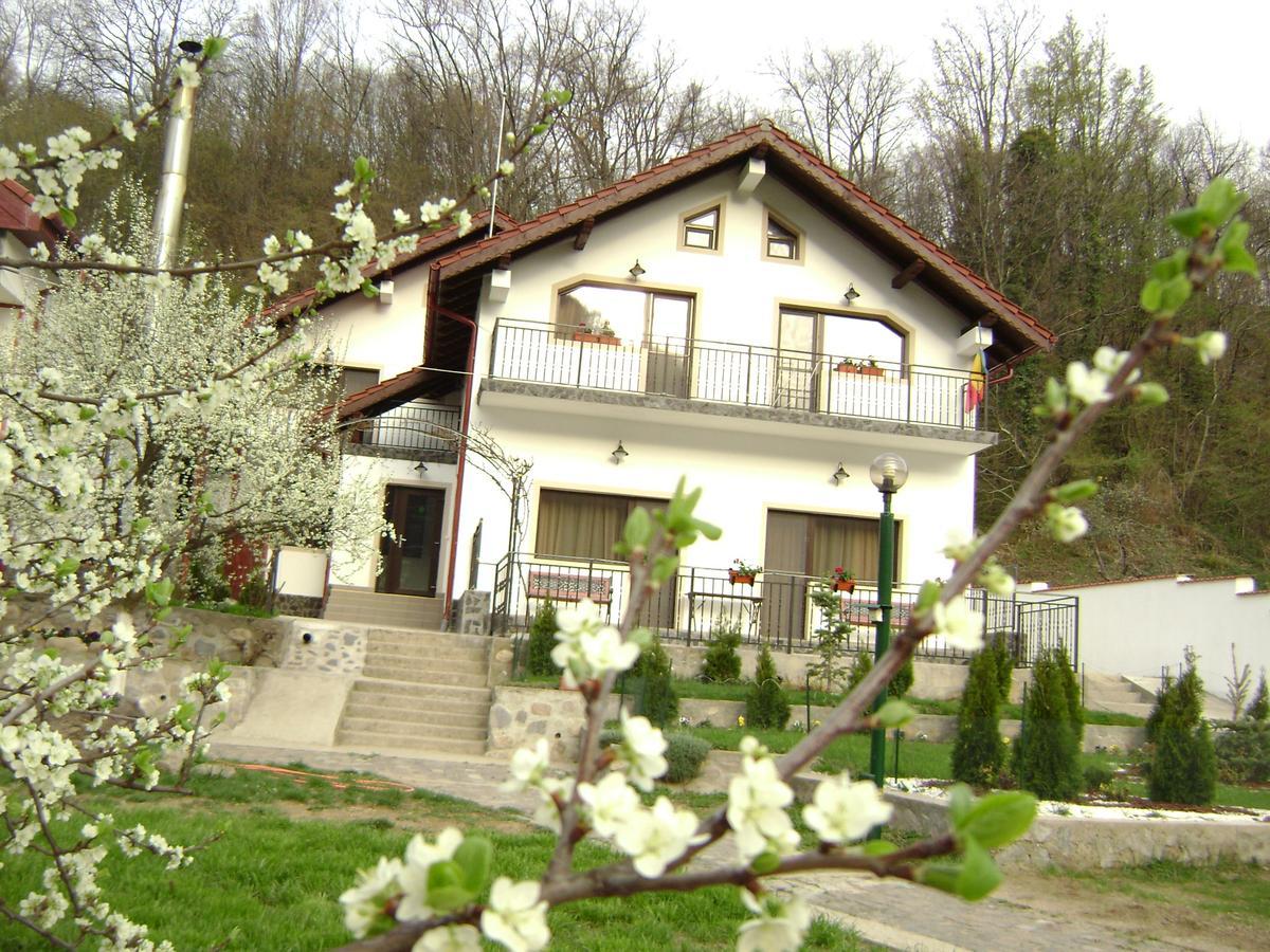 Pension Casa Natura Băile Herculane Extérieur photo