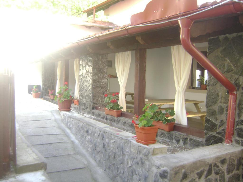 Pension Casa Natura Băile Herculane Extérieur photo