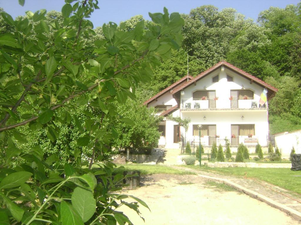 Pension Casa Natura Băile Herculane Extérieur photo
