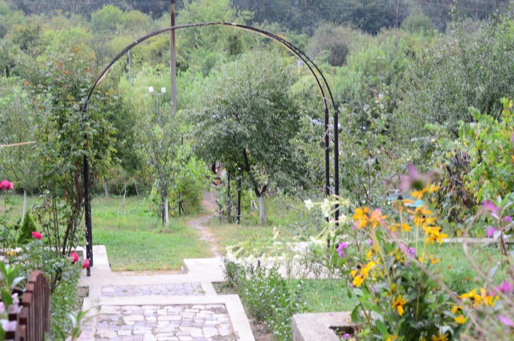 Pension Casa Natura Băile Herculane Extérieur photo