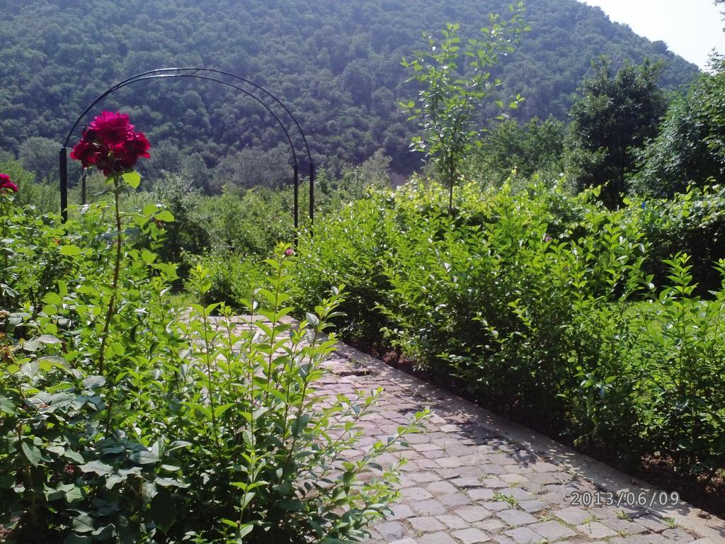 Pension Casa Natura Băile Herculane Extérieur photo