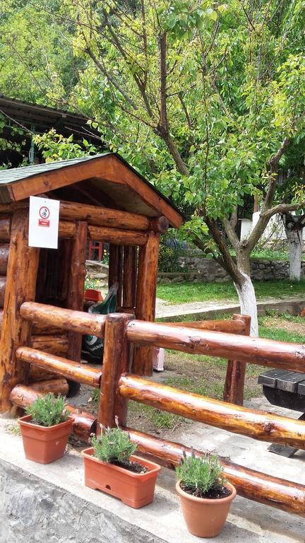 Pension Casa Natura Băile Herculane Extérieur photo