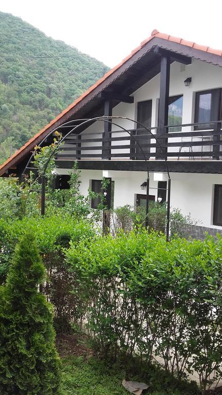 Pension Casa Natura Băile Herculane Extérieur photo