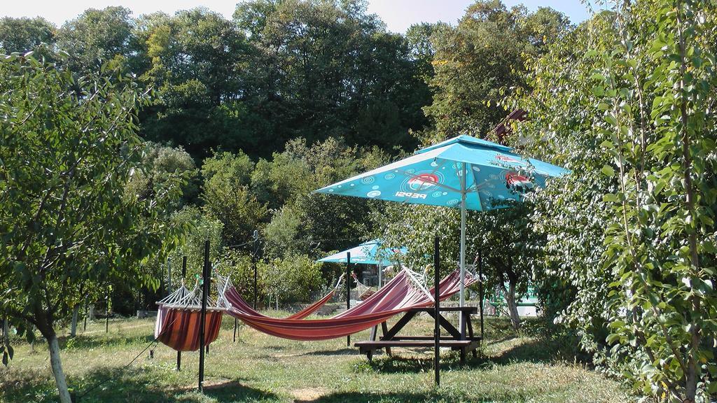 Pension Casa Natura Băile Herculane Extérieur photo