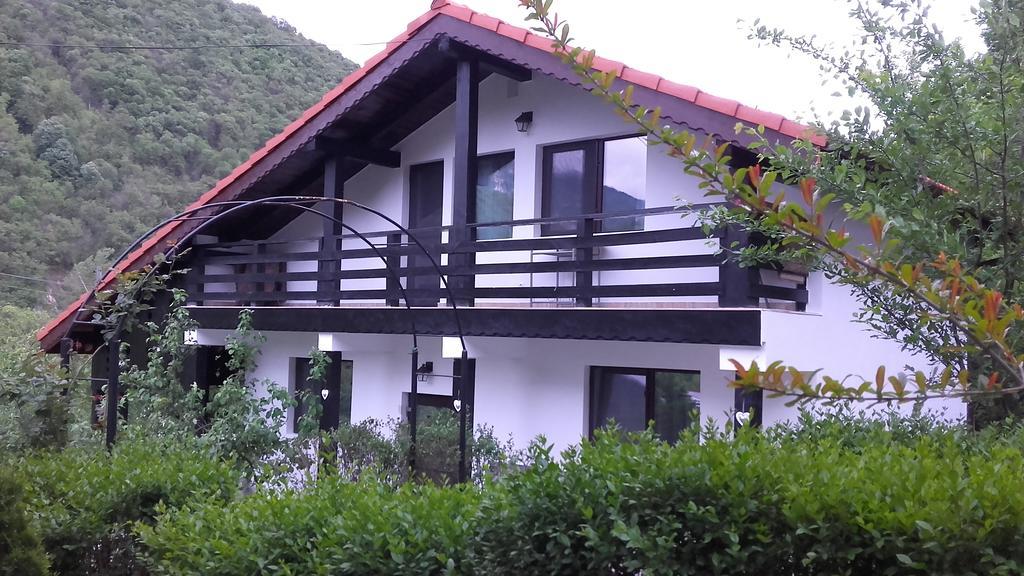 Pension Casa Natura Băile Herculane Extérieur photo